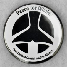 Peace For Whales Button