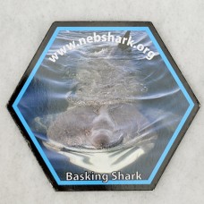 Basking Shark Magnet